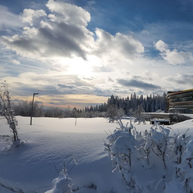 Hotel AVIVA make friends in St. Stefan am Walde, Mühlviertel, Upper Austria, Austria