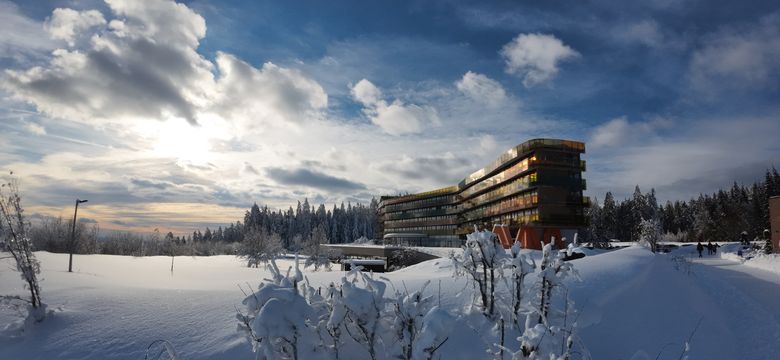 Hotel AVIVA make friends: 5=4 Special