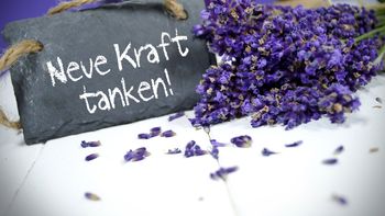 Wellness pur- DaySPA