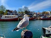 Frühling in Warnemünde 2025