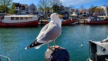 Frühling in Warnemünde