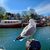 Frühling in Warnemünde