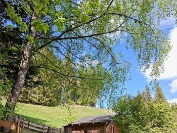 Annenhütte - Carinthia  - Austria