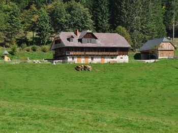 Almhütte Kuhgraben - Carinthia  - Austria