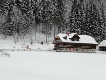 Almhütte Kuhgraben - Carinthia  - Austria