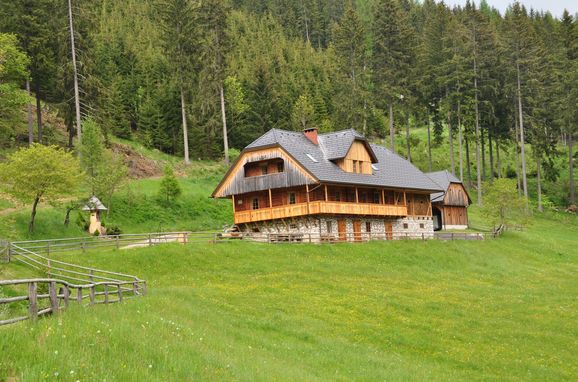 Sommer, Almhütte Kuhgraben, Bad St. Leonhard, Kärnten, Kärnten, Österreich