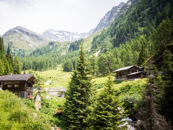 Landeckalm - Tyrol - Austria