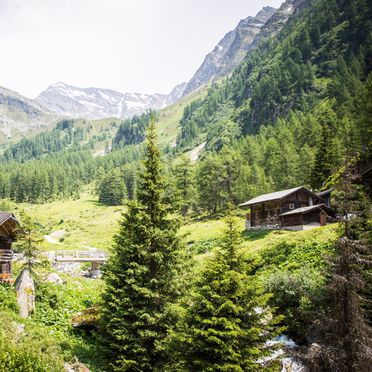 Gebiet Landeckalm, Landeckalm, Matrei in Osttirol, Tirol, Tirol, Österreich