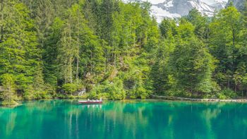 Blausee Genuss