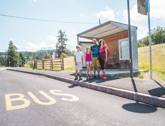 Top Angebot: Sanft mobiles Dolomiten-Erlebnis im Eggental - Bio- und Bikehotel Steineggerhof