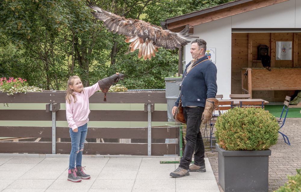 Greifvogel-Flugschau