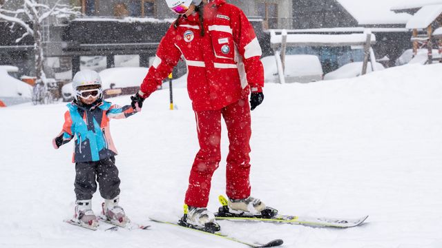 Mehr Skizwerge - nur online buchbar