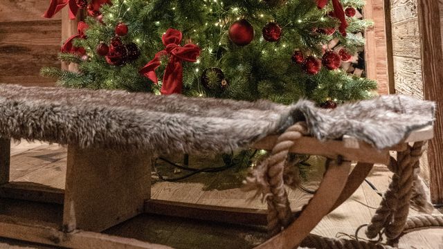 Mäuse-magische Silvestertage