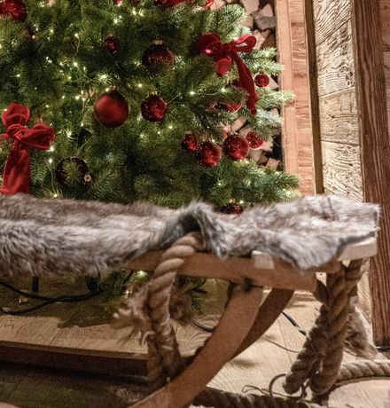 Angebot: Mäuse-magische Silvestertage - Gorfion Familienhotel Liechtenstein