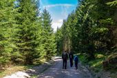 Thüringer Wald Erlebnis
