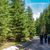 Thüringer Wald Erlebnis