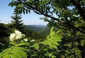 Thüringer Wald Erlebnis