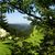 Thüringer Wald Erlebnis