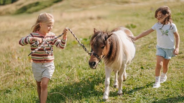 Bella Vista Eröffnungs-Highlight – Kind bis 18 inklusive