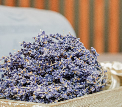 BEATUS Wellness- & Spa-Hotel: Alpienne Wellness Days