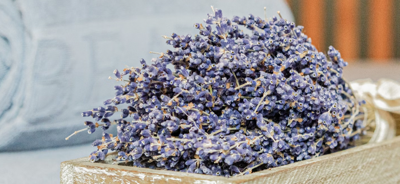 BEATUS Wellness- & Spa-Hotel: Alpienne Wellness Days