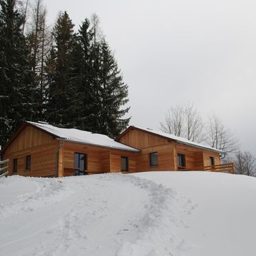 Winter, Langhans Hütte 1, St. Gertraud - Lavanttal, Kärnten, Carinthia , Austria