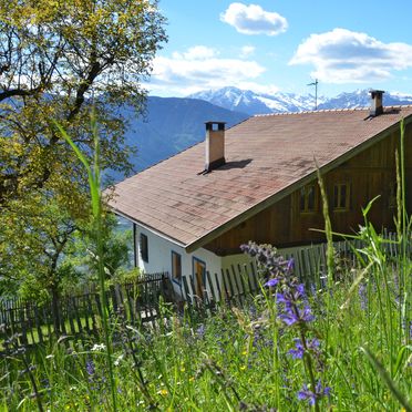 Sommer, Kohlstatt Hütte, Vöran, Trentino-Südtirol, Trentino-Südtirol, Italien