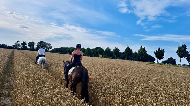 Pony und Reiterferien