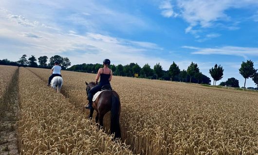 Pony und Reiterferien