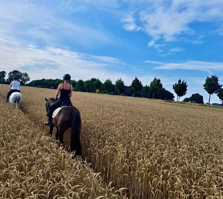 Angebot: Pony und Reiterferien - Golchener Hof