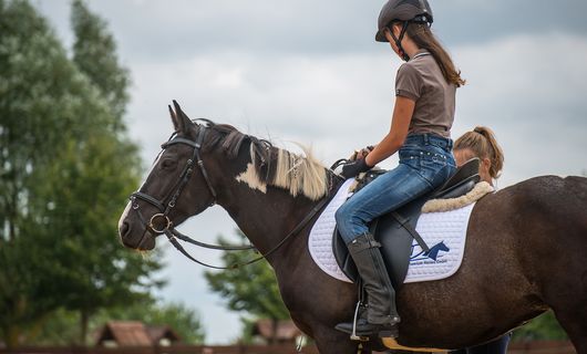 Pony & Reiterferien