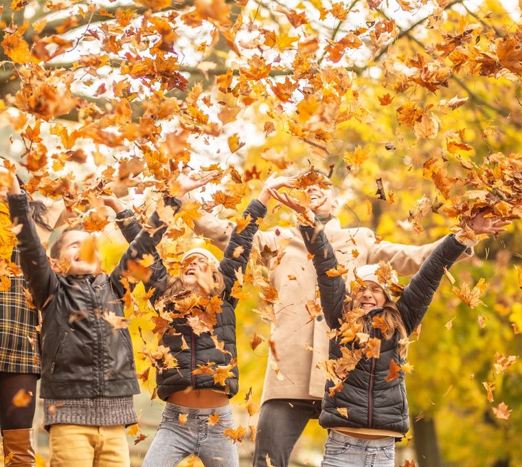 Angebot: Goldener Bauern.Herbst - Golchener Hof