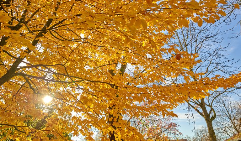 Herbst(aus)zeit
