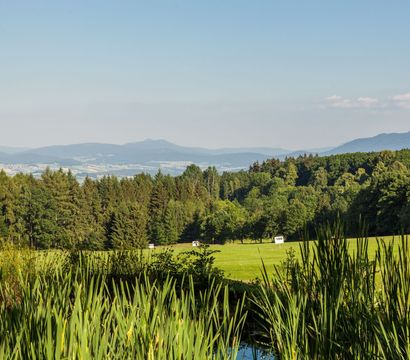 Spirit & SPA Birkenhof am Elfenhain: Golf & Genuss