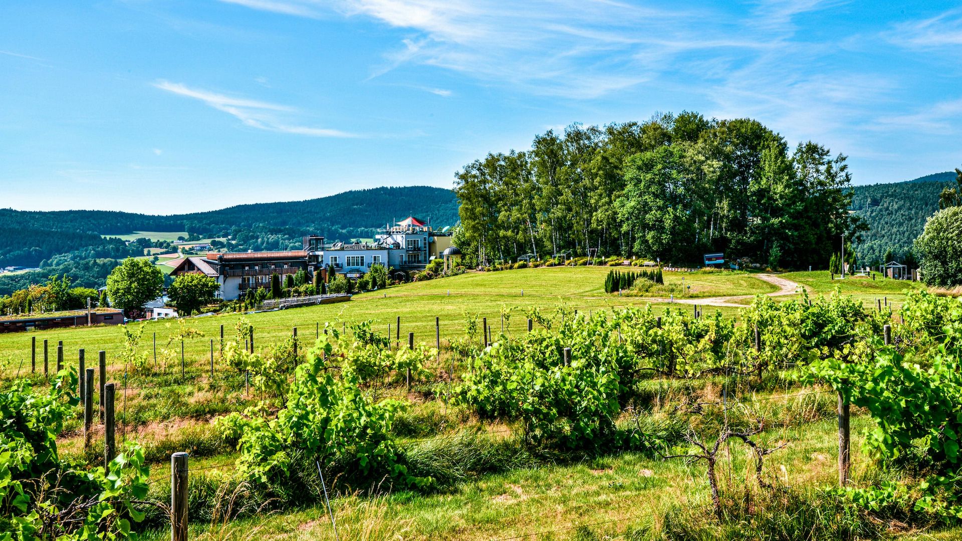Spirit & SPA Birkenhof am Elfenhain, Grafenwiesen