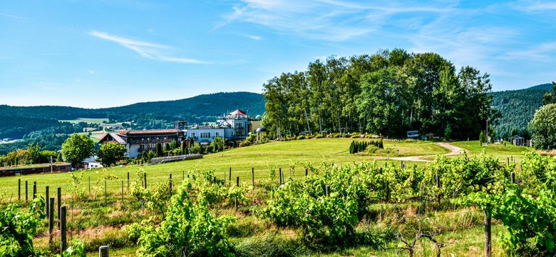 Spirit & SPA Birkenhof am Elfenhain: Kraftvolle Elemente