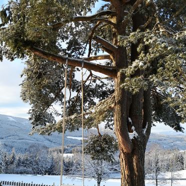Winter, Almhaus Herzstück, Preitenegg, Lavanttal, Kärnten, Österreich