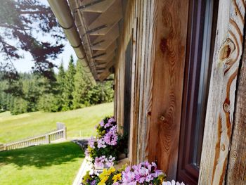 Almhaus Herzstück - Carinthia  - Austria