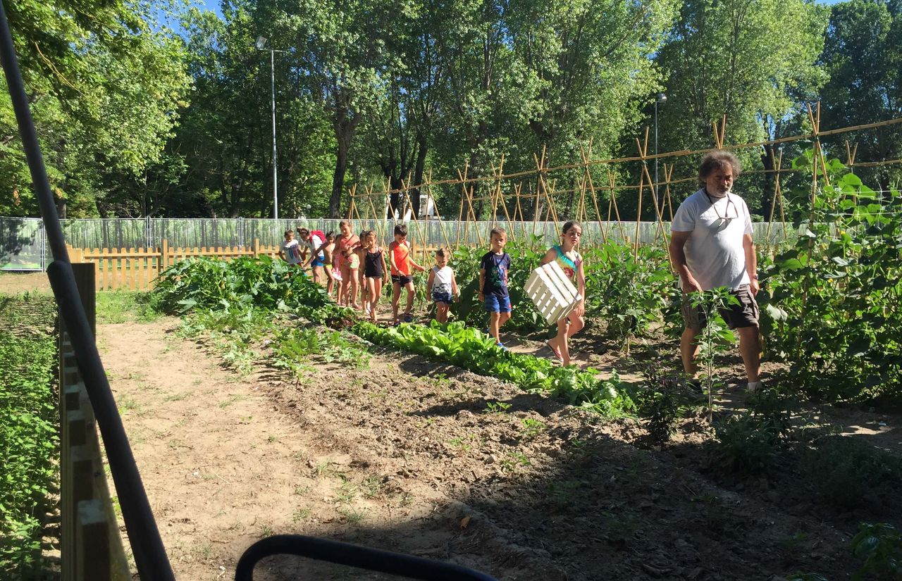 Eigener Garten mit Bio-Anbau