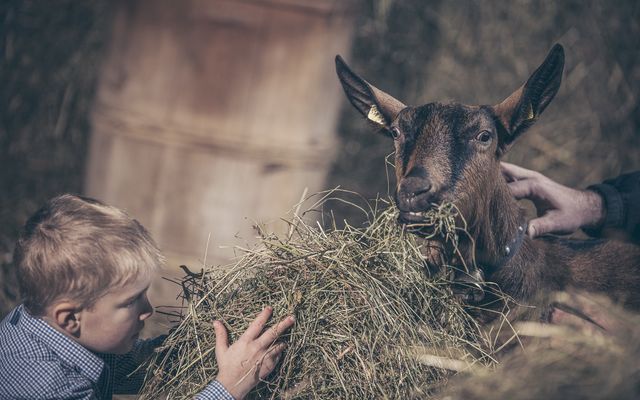 Kinderzimmer mit Stockbetten