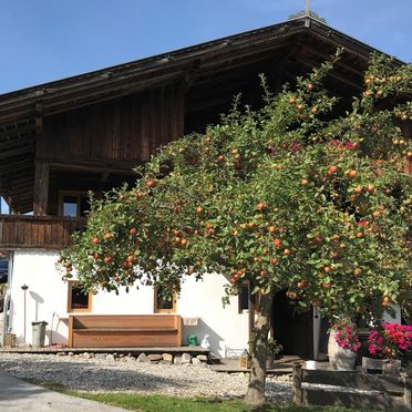 Sommer, HUGS Hütte, Oberau, Tirol, Tirol, Österreich