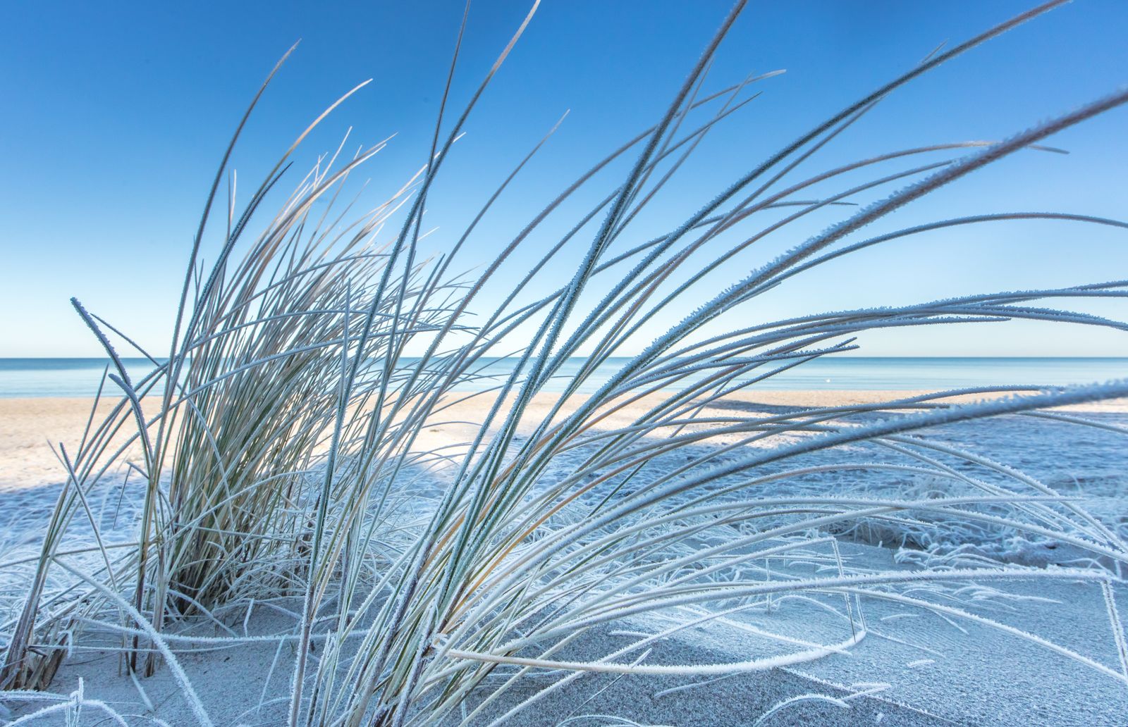 Last Minute 25% image 3 - Familotel Ostsee Hotel Strandkind 