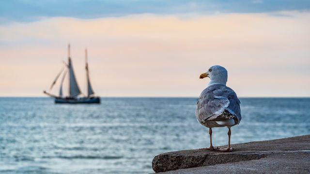 Familienurlaub im Frühling an der Ostsee
