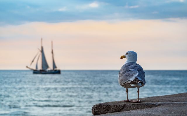 Familienzeit. Geschenk: 7=6 image 3 - Familotel Ostsee Hotel Strandkind 