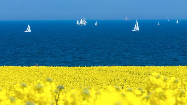Auszeit für Kurzentschlossene im Frühling