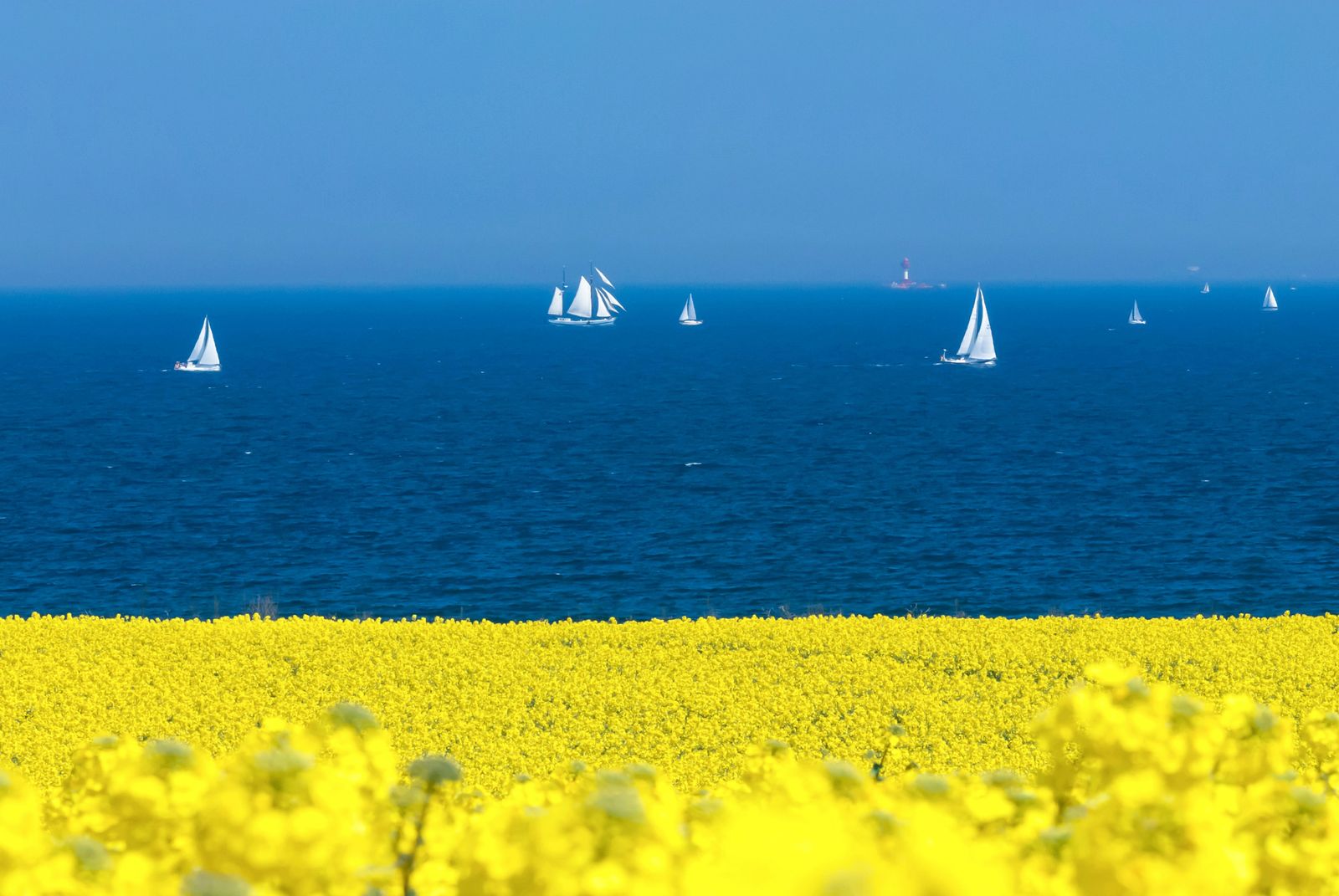 Auszeit für Kurzentschlossene im Frühling image 1 - Familotel Ostsee Hotel Strandkind 