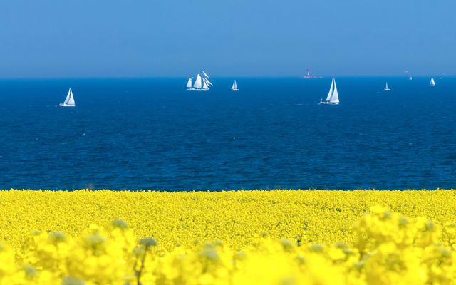 Auszeit für Kurzentschlossene im Frühling image 3 - Familotel Ostsee Hotel Strandkind 