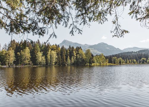 BIO HOTEL Bruggerhof: Schwarzsee - Bruggerhof – Camping, Restaurant, Hotel, Kitzbühel, Tirol, Österreich