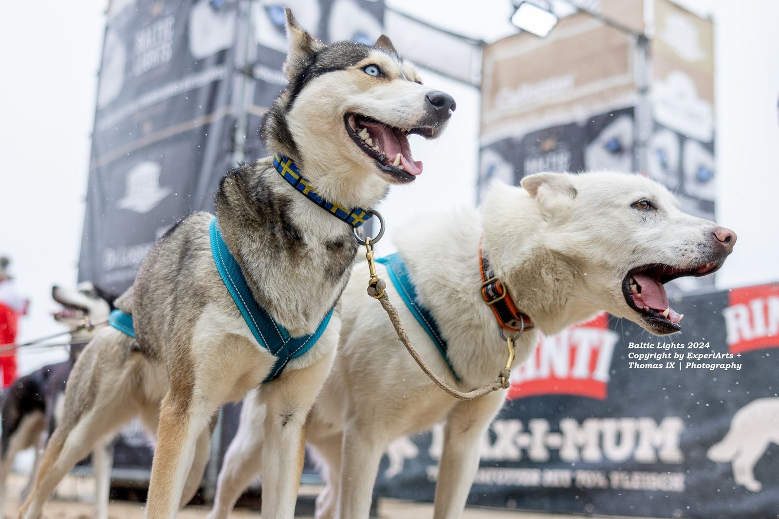 Das besondere Wochenende vom 27.02. - 03.03.2025 image 1 - Hotel & Restaurant Hotel Hanse Kogge