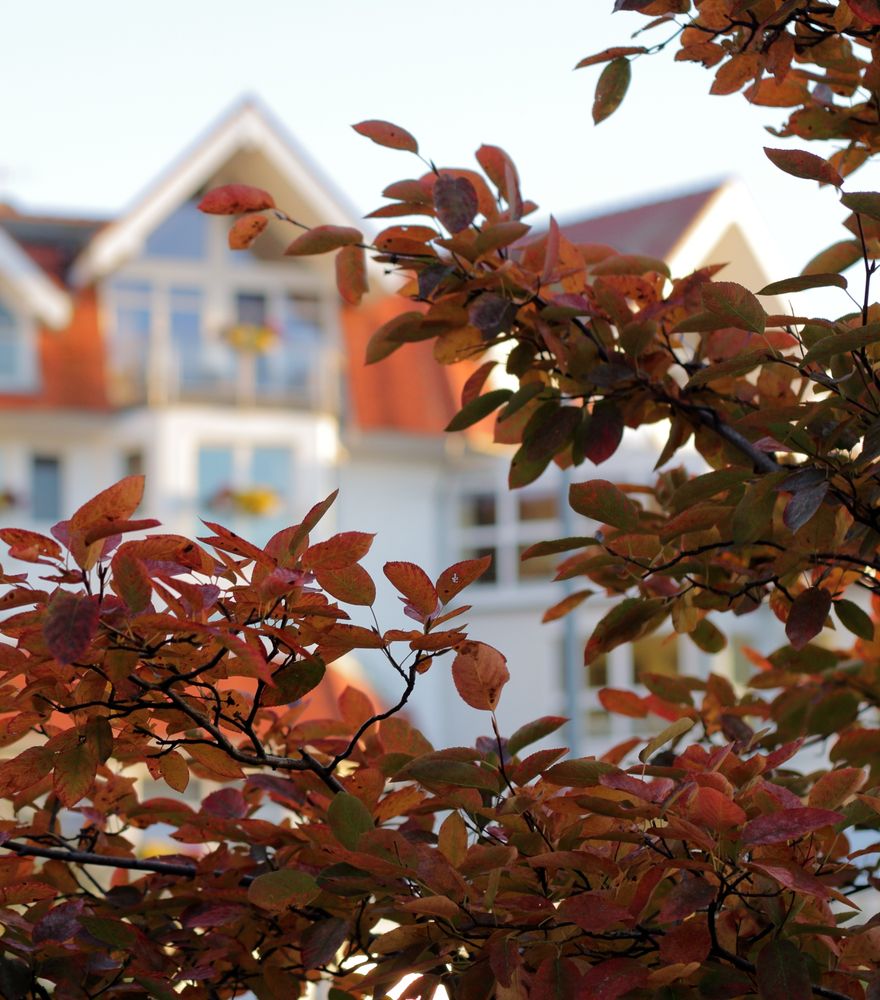 Angebot: Wind und Wetter Wochen 5 ÜN - Strandhotel Seerose